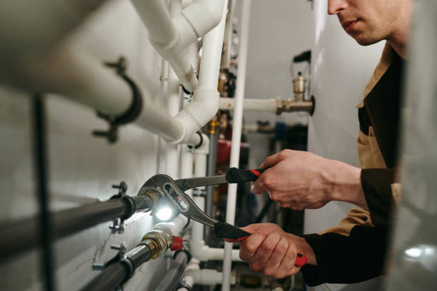 Best Local Plumber Services  in Benld, IL